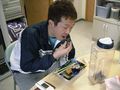 Kimura