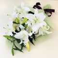 ｌｉｌｙ