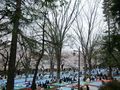 Ohanami