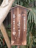Genryu