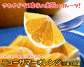ｎｅｗｓｕｍｍｅｒ