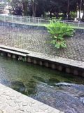 Wadabori