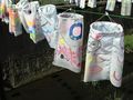 Koinobori
