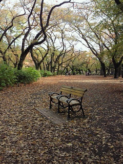 201011201149000.jpg
