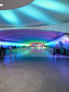 201011291332000.jpg