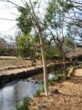 Inokashira1