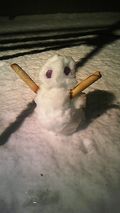 Snow