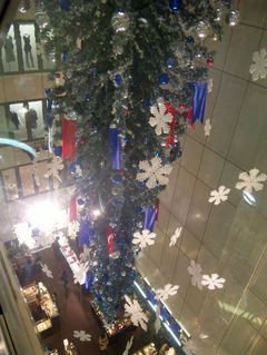 20101205d.jpg