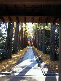 201012100951000.jpg