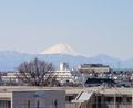Fuji