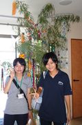 Tanabata1 Tanabata1