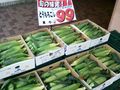 Corn