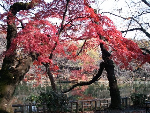 2011-12-07 10.47.56.jpg