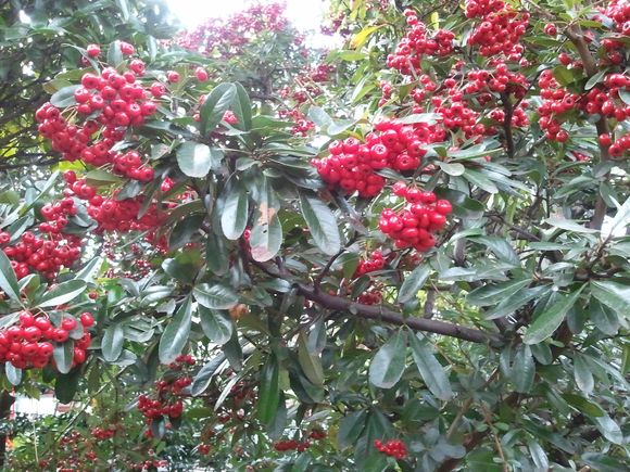 2012-01-01 14.08.31.jpg