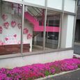 2012-04-21 13.20.23.jpg