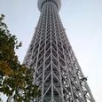 Skytree