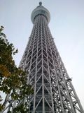 Skytree