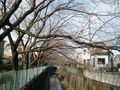 Kandagawa