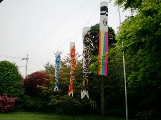 koinobori.jpg koinobori.jpg