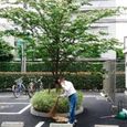 tsuzuki.jpg