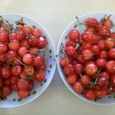 2012-06-26 12.55.41.jpg