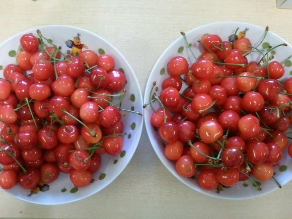 2012-06-26 12.55.41.jpg