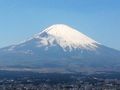 Mikuni