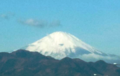 Fuji Fuji