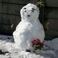 Snow1
