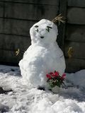 Snow1 Snow1