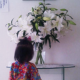 Lily