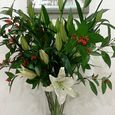 lily2012-1.jpg