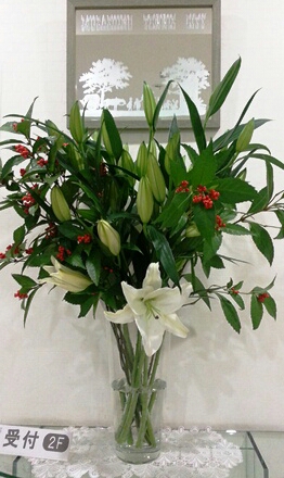 lily2012-1.jpg