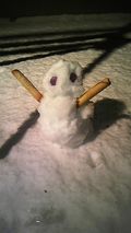 Snow