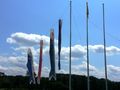 Koinobori