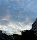 20130729_183920-1