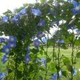 20130802_124754.jpg