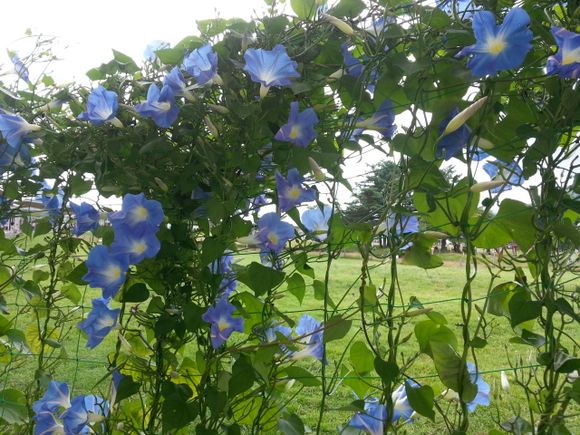 20130802_124754.jpg