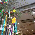 tanabata7.jpg