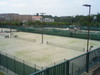 Photo_2
