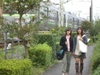 Chirashi11