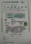 Citycamp